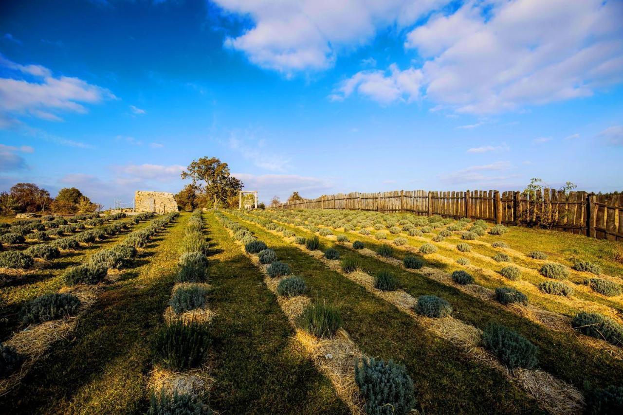 Country House Domik V Derevne Марківці Екстер'єр фото