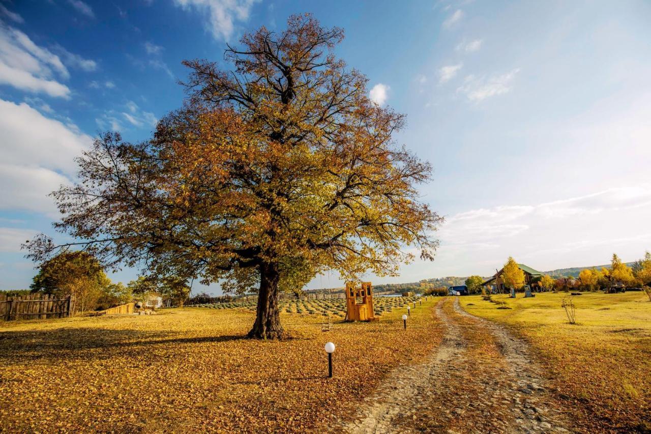 Country House Domik V Derevne Марківці Екстер'єр фото
