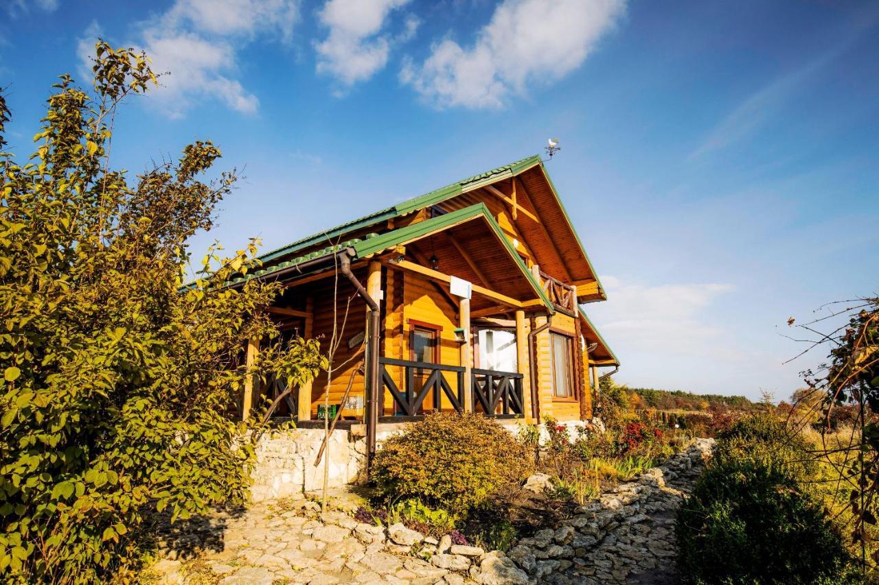 Country House Domik V Derevne Марківці Екстер'єр фото