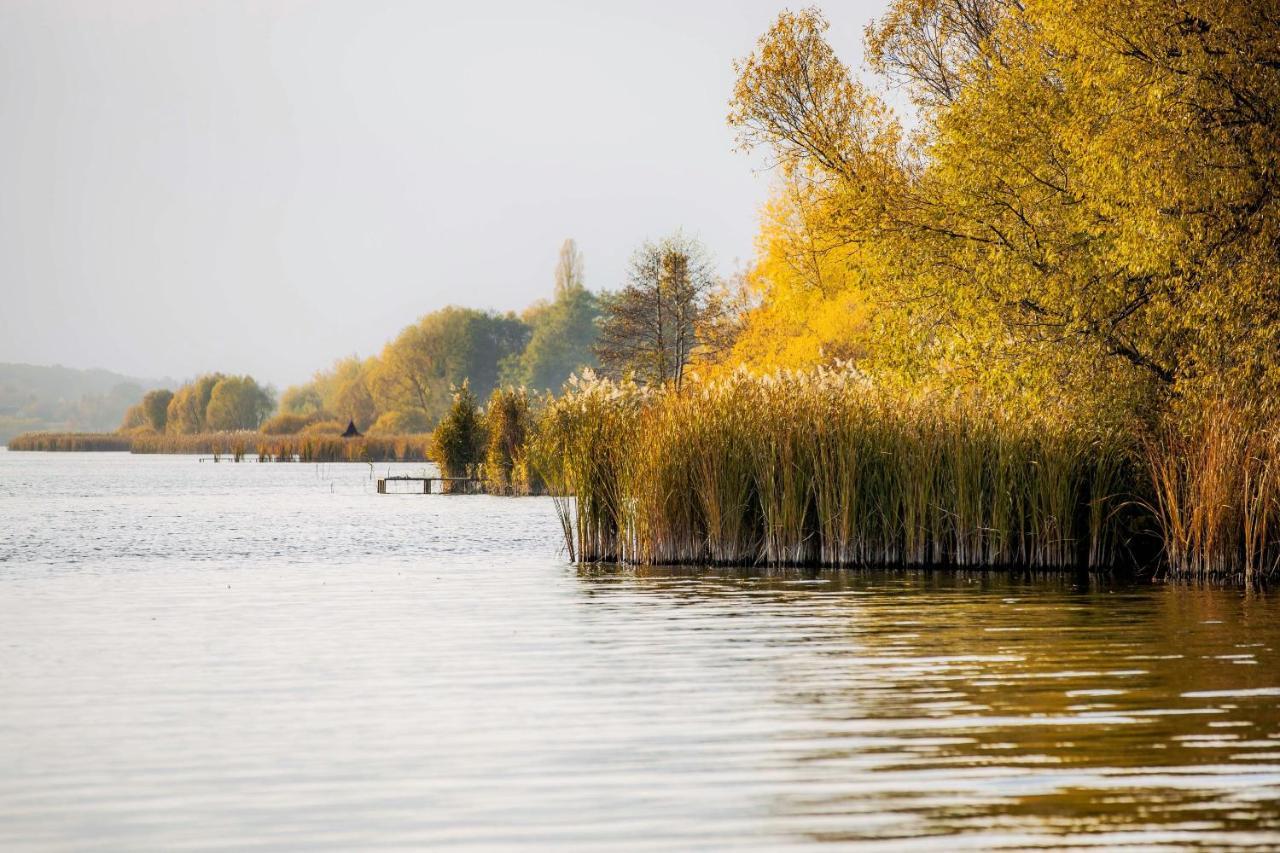 Country House Domik V Derevne Марківці Екстер'єр фото