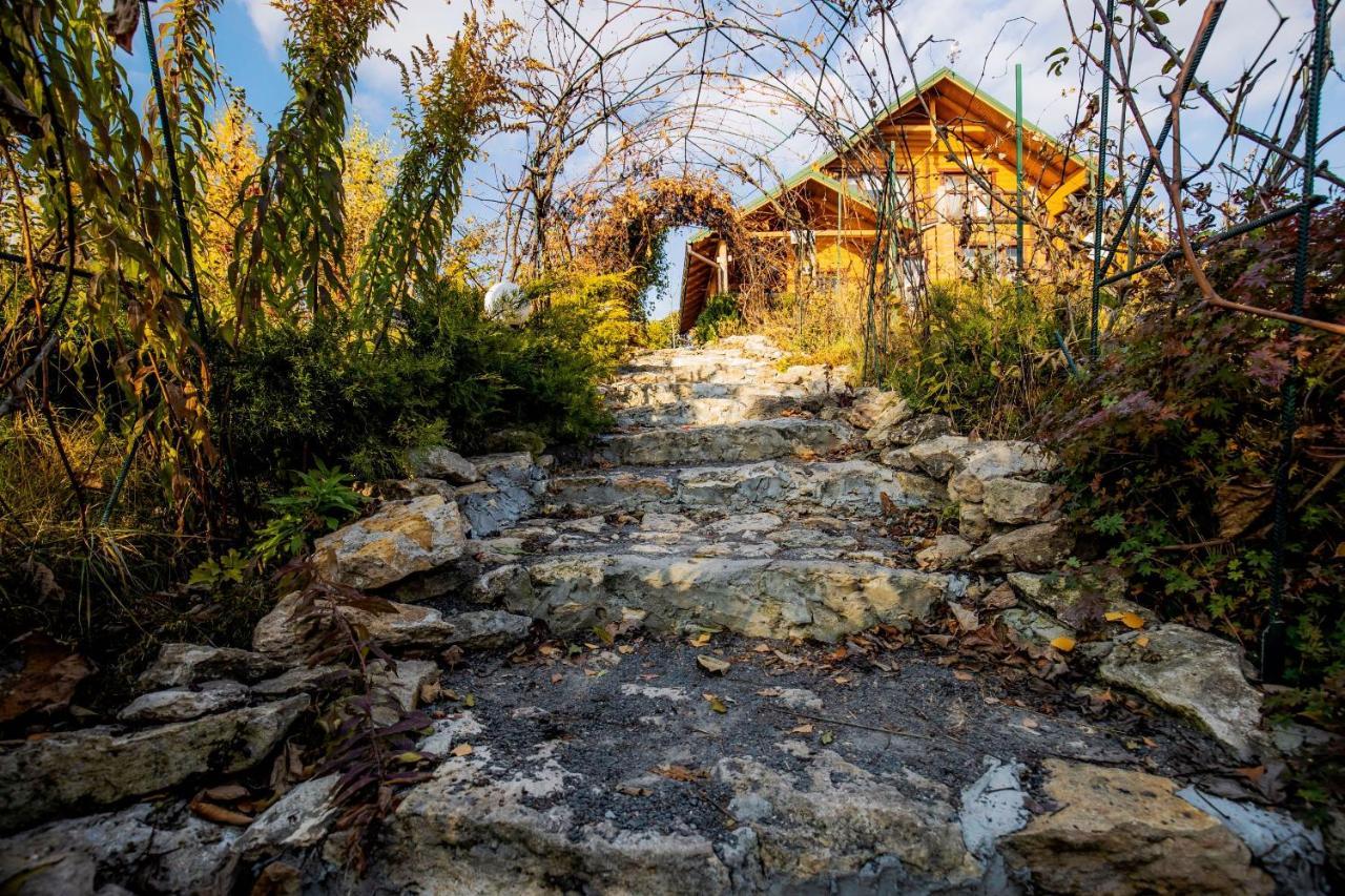 Country House Domik V Derevne Марківці Екстер'єр фото